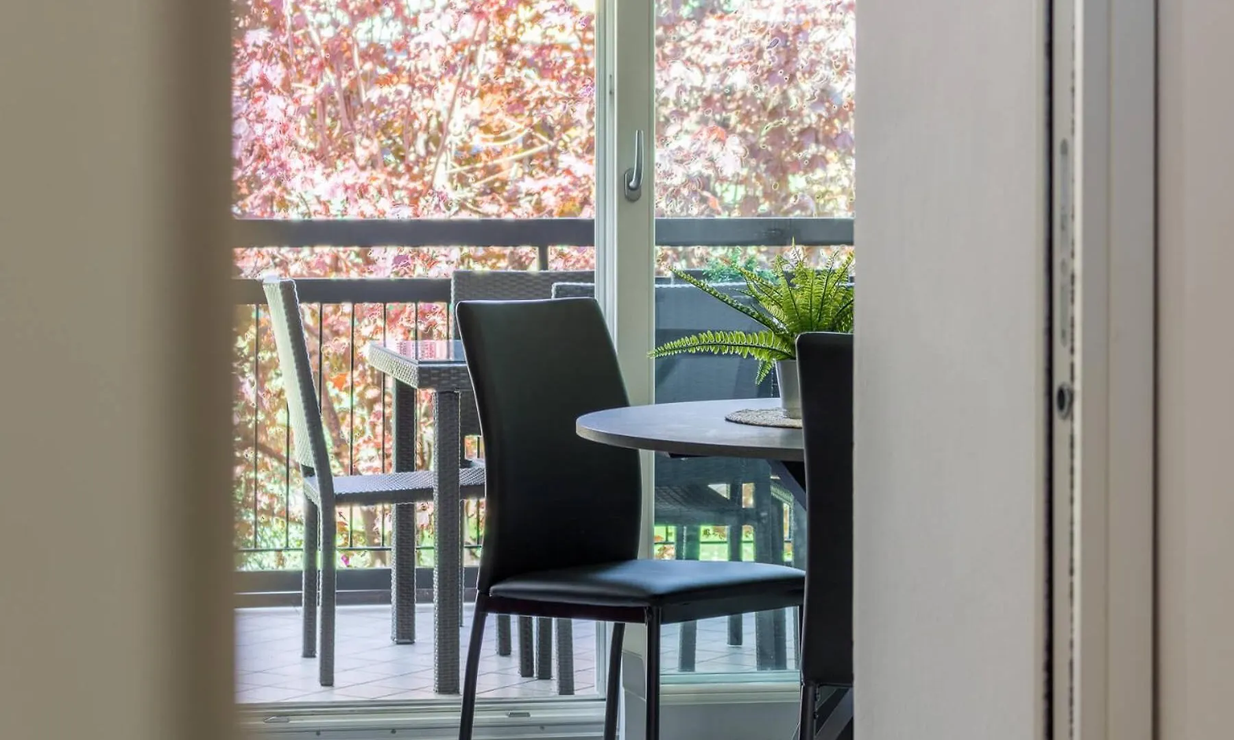 Apartment Il Professore Lakefront Manerba del Garda